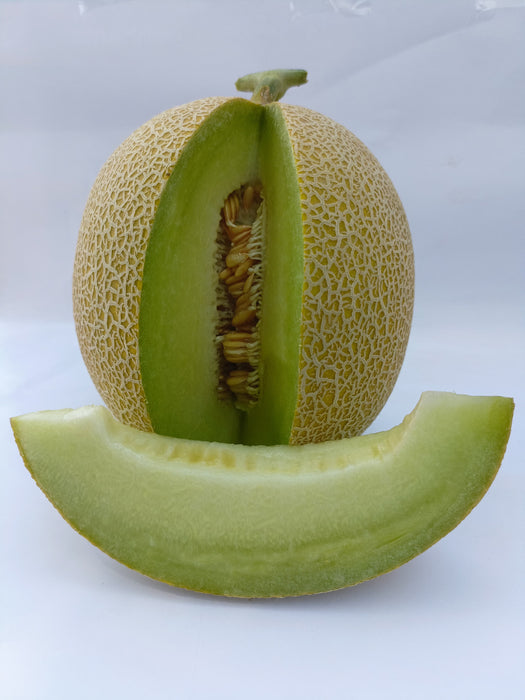 Kissane F1 Hybrid Muskmelon (BASF-Nunhems) - Farmers Stop