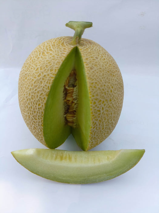 Kissane F1 Hybrid Muskmelon (BASF-Nunhems) - Farmers Stop