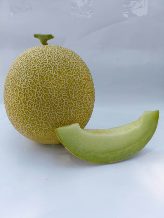 Kissane F1 Hybrid Muskmelon (BASF-Nunhems) - Farmers Stop