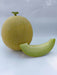 Kissane F1 Hybrid Muskmelon (BASF-Nunhems) - Farmers Stop