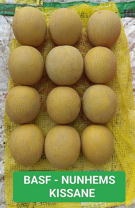 Kissane F1 Hybrid Muskmelon (BASF-Nunhems) - Farmers Stop
