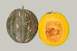 Pumpkin Big Size (10kg) - Orange Yellowish Flesh (Garden Festival) - Farmers Stop