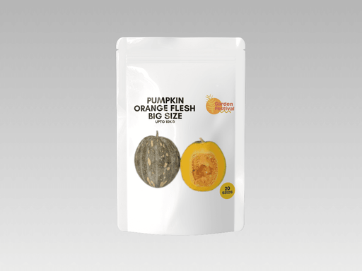 Pumpkin Big Size (10kg) - Orange Yellowish Flesh (Garden Festival) - Farmers Stop