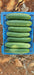 Blessy F1 Hybrid Cucumber (BASF | Nunhems) - Farmers Stop