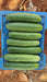 Blessy F1 Hybrid Cucumber (BASF | Nunhems) - Farmers Stop