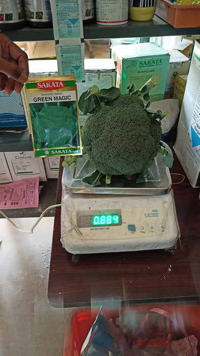 Green Magic F1 Hybrid Broccoli (Sakata) - Farmers Stop