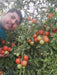 NS 4266 Hybrid F1 Tomato (Namdhari Seeds) - Farmers Stop