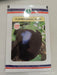 NO. 992 F1 HYBRID BRINJAL (SUNGRO SEEDS) - Farmers Stop
