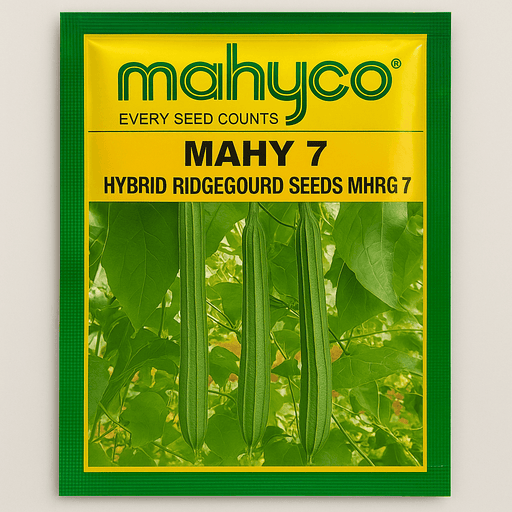 MAHY 7 F1 Hybrid Ridgegourd (Mahyco) - Farmers Stop