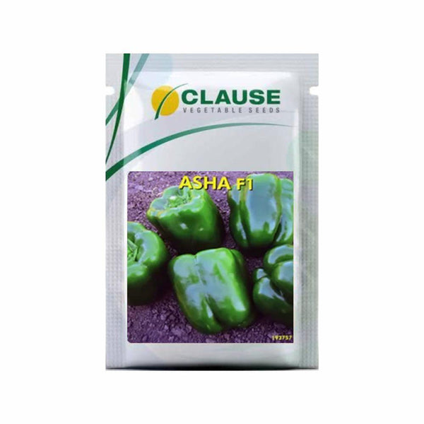 Asha F1 Hybrid Capsicum (Clause Seeds) - Farmers Stop