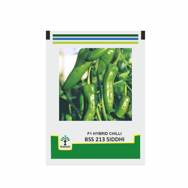 BSS 213 Siddhi F1 HYBRID CHILLY (KALASH SEEDS) - Farmers Stop