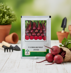 Jackson F1 Hybrid Beetroot (Kalash seeds) — product image 1