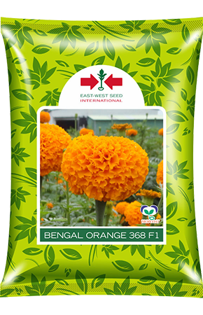 marigold seeds the forest Bengal Orange Marigold Hybrid – High Yield Orange Flowers