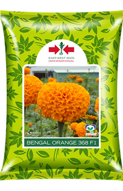 Bengal Orange 368 F1 Hybrid Marigold (East West Seeds) - Farmers Stop
