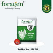 Chicory Chicklet  (Foragen)
