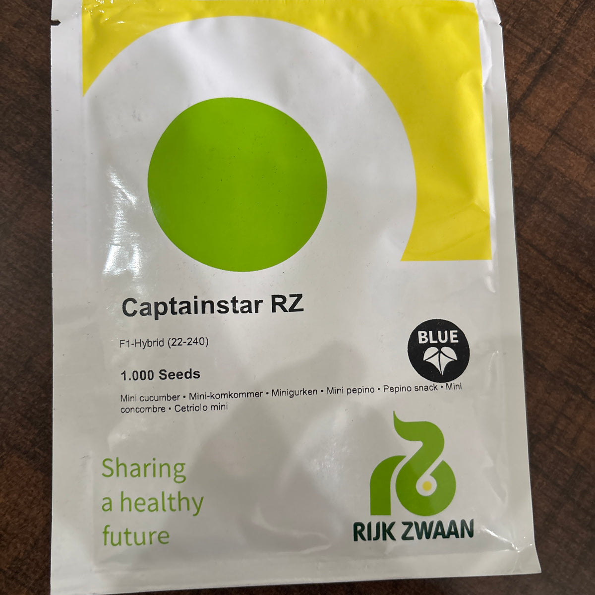 riz ZINZI zilveren trendy oorringen 40mm in rechthoek vorm