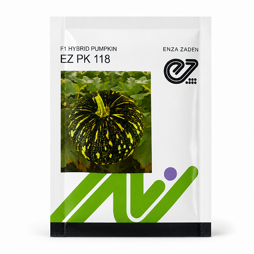 EZ PK 118 F1 Hybrid Pumpkin Seeds (Enza Zaden)