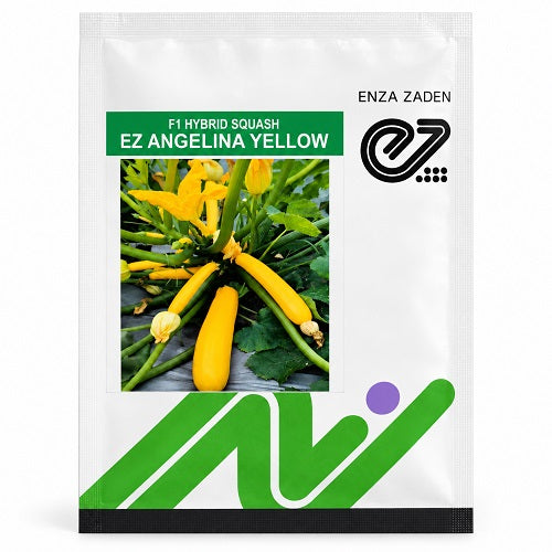 EZ Angelina Yellow F1 Hybrid Zuchini Seeds | Enza Zaden