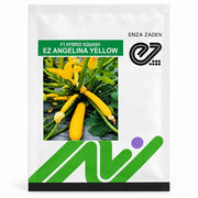 EZ Angelina Yellow F1 Hybrid Zuchini Seeds | Enza Zaden