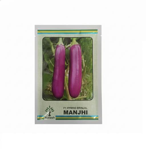 KSP 1421 Manjhi F1 Hybrid Purple Long Brinjal (Kalash Seeds) - Farmers Stop