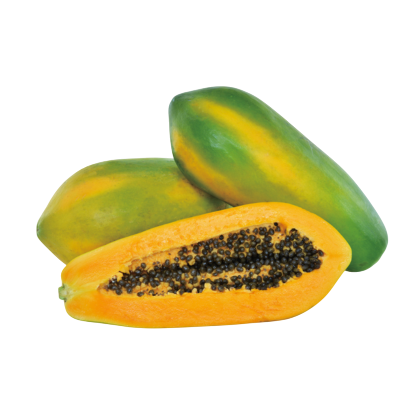 Golden Lady Hybrid F1 Papaya (Known You Seeds - Taiwan)