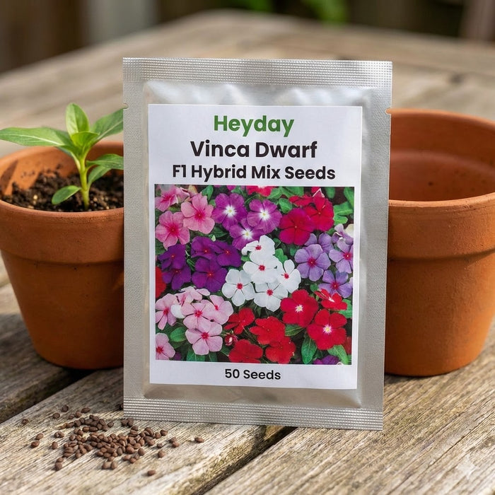 Heyday Vinca Dwarf F1 Hybrid Mix Seeds (50 Seeds) - Premium Heat-Tolerant Periwinkle Flowers for Home Gardens & Pots