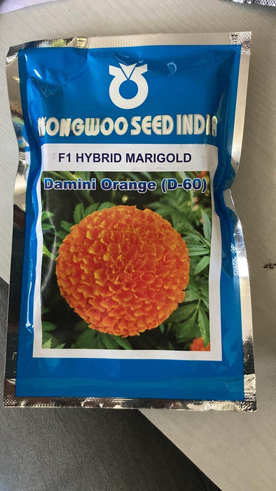 Damini Orange (D 60) F1 Hybrid Marigold (Nongwoo Seed India)