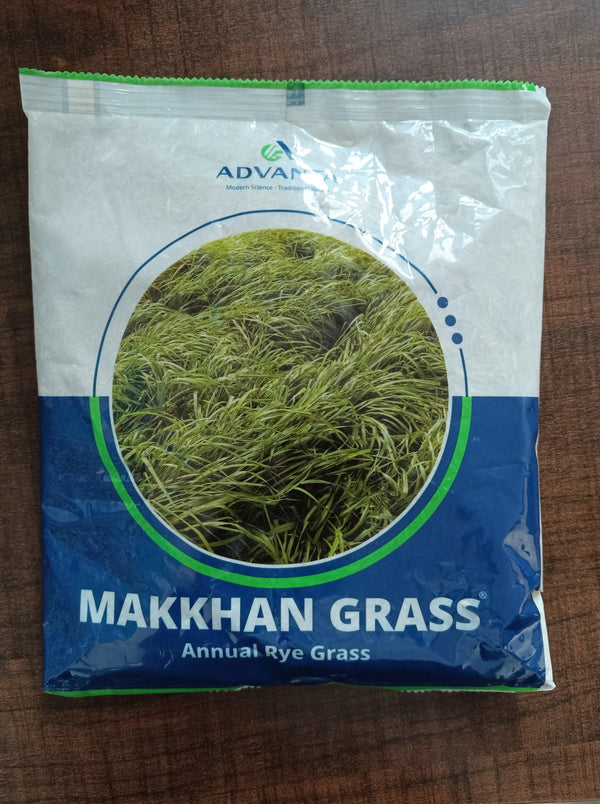MAKKHAN GRASS (मक्खन घास) Anual Rye Grass (Advanta) - Farmers Stop