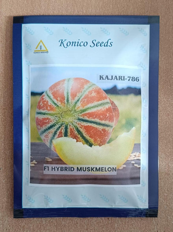 Kajari 786 Hybrid F1 Muskmelon (Konico Seeds) - Farmers Stop
