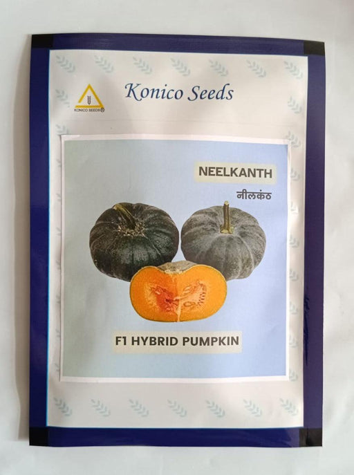 Neelkanth Hybrid F1 Dark Jade Pumpkin Seeds (Konico Seeds) - Farmers Stop