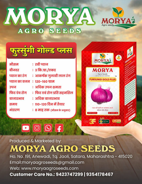 Fursungi Gold Plus Pusa Red Onion Seeds (Morya Agro Seeds) - Farmers Stop