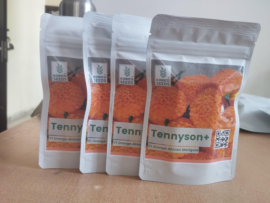 Tennyson Plus F1 Hybrid Orange Marigold (Konico Seed's) - Farmers Stop