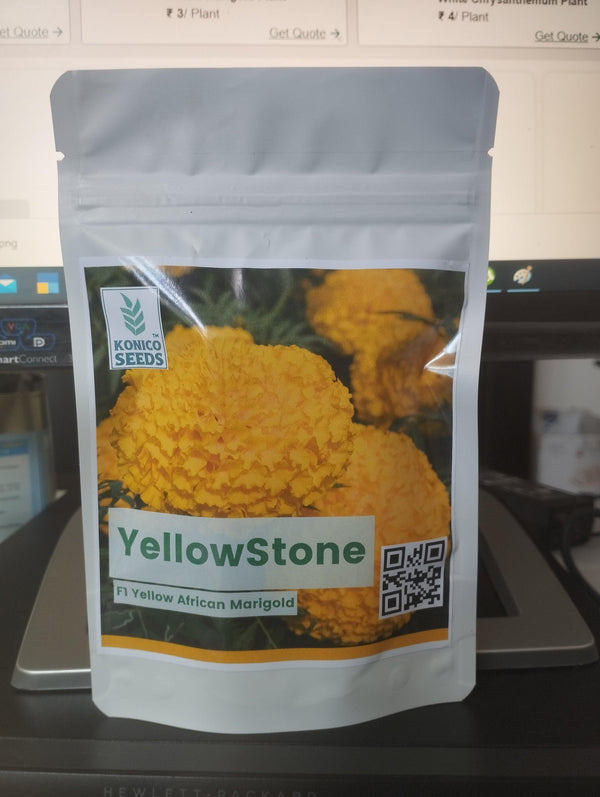 YellowStone F1 Hybrid Yellow Marigold (Konico Seed's) - Farmers Stop