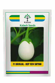 KSP-1324 Satyam F1 Hybrid White Round Brinjal (Kalash Seeds)