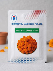 KY-17 ORANGE F1 Hybrid Marigold (KNOWN YOU SEEDS)