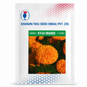 KY-24 ORANGE F1 Hybrid Marigold (KNOWN YOU SEEDS)