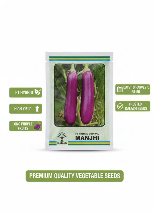 KSP 1421 Manjhi F1 Hybrid Purple Long Brinjal (Kalash Seeds) - Farmers Stop