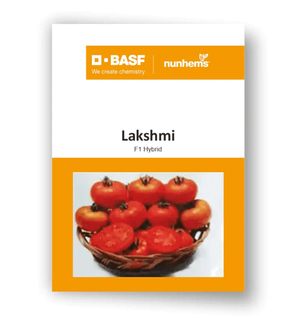 Lakshmi F1 Hybrid Tomato (BASF-Nunhems) - Farmers Stop