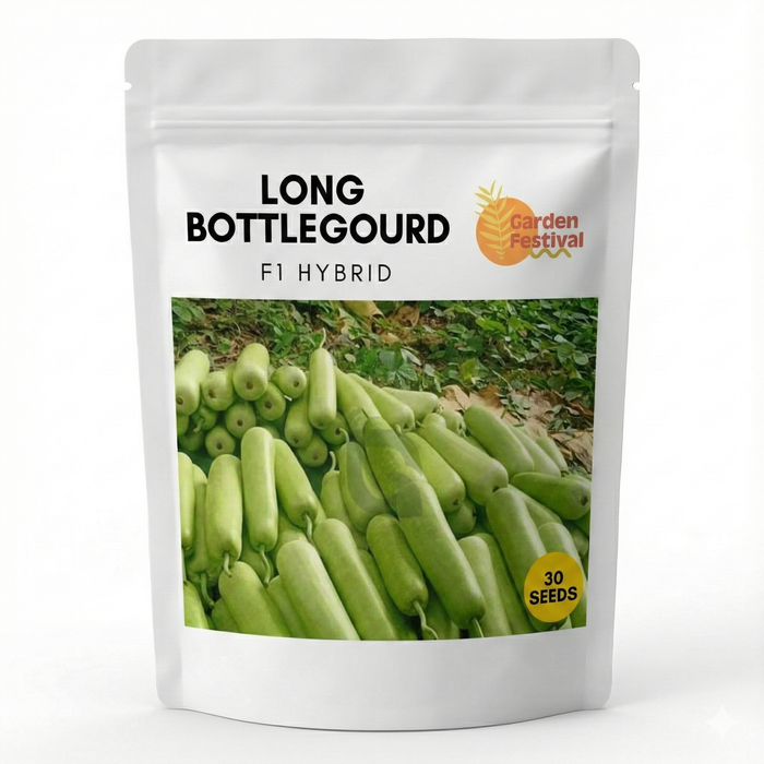 Bottlegourd/लौकी Long Hybrid F1 Quality Seeds (Garden Festival)