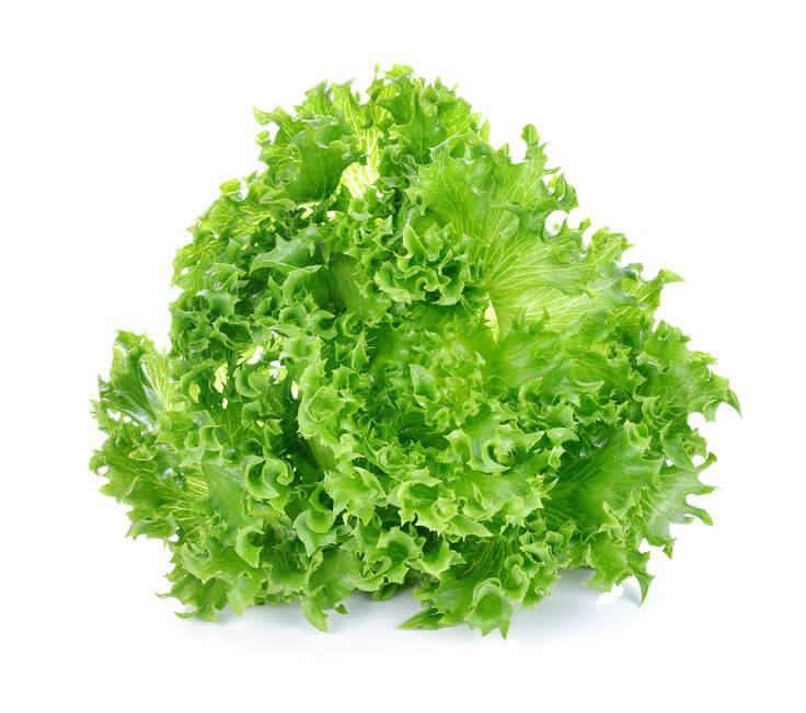 Grand Rapids Lettuce Seeds (Farmer Seed) - Farmers Stop