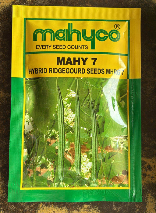 MAHY 7 F1 Hybrid Ridgegourd (Mahyco) - Farmers Stop