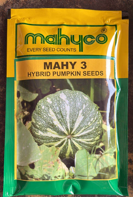MAHY 3 F1 Hybrid Pumpkin (Mahyco) - Farmers Stop