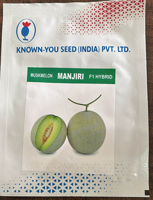 MANJIRI F1 Hybrid Muskmelon Seeds – Round Fruits with Creamy Yellow Rind and Sweet Light Green Flesh