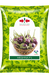 Meghna F1 Hybrid Brinjal (East West Seeds)
