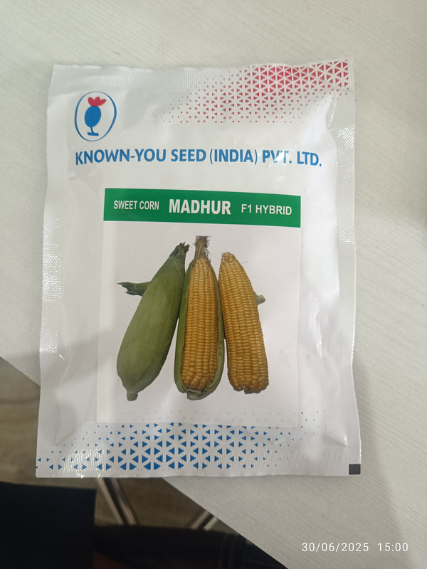 Madhur Sweet Corn 100g small pack