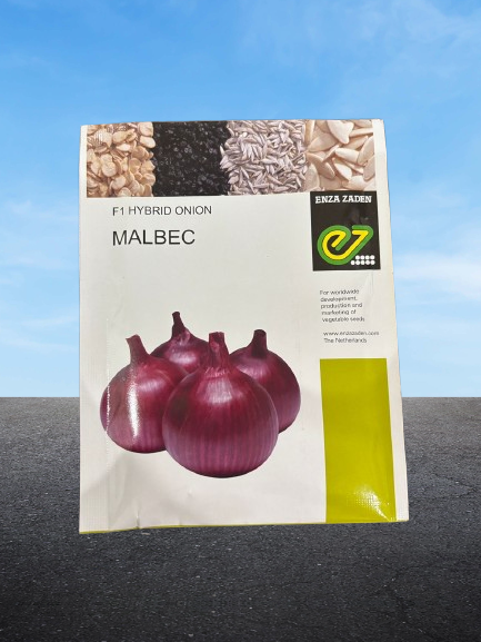 MALBEC F1 Hybrid Onion Enza Zaden - Farmers Stop
