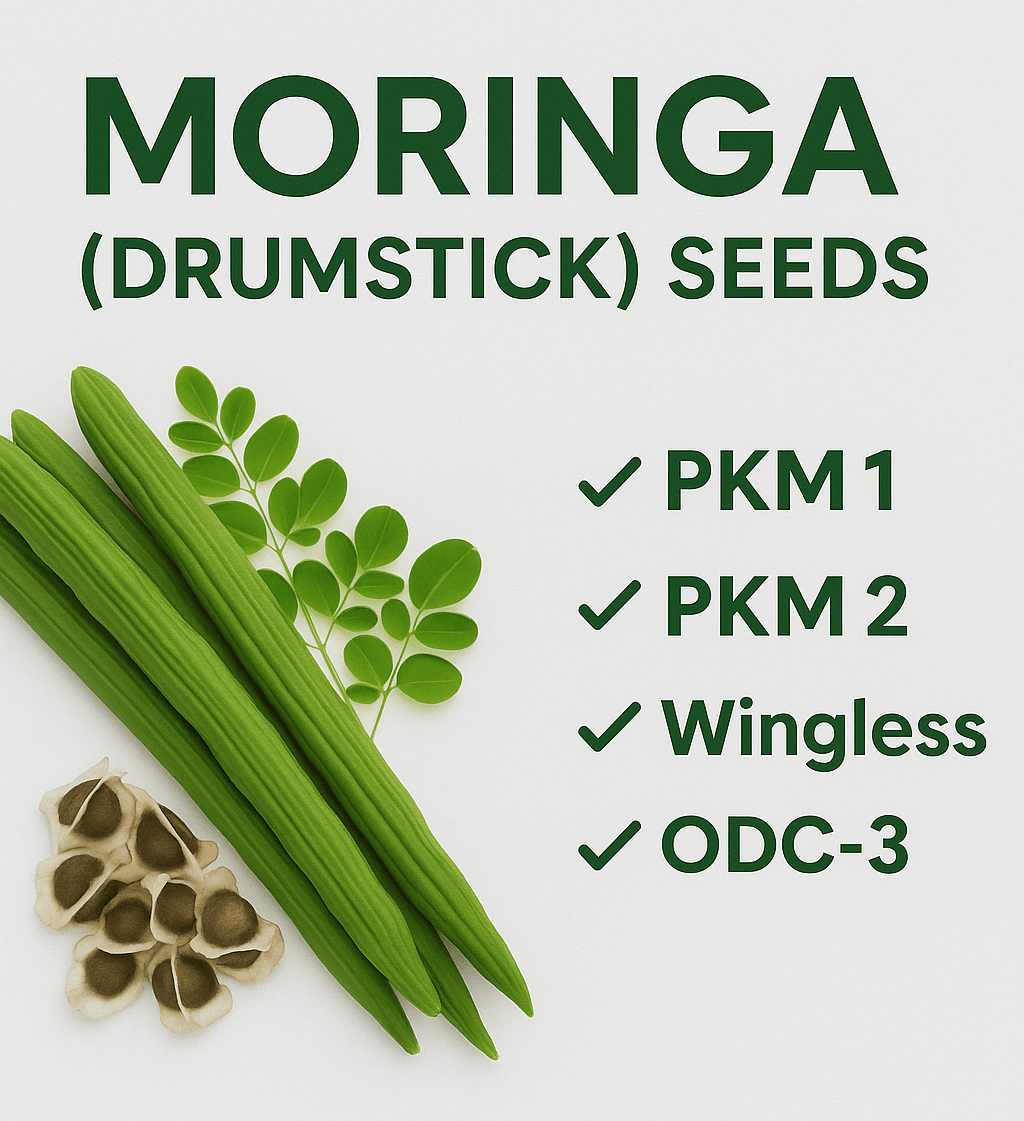 Moringa (Drumstick) PKM-1, PKM-2, Wingless & ODC-3 Varieties (Farmers Stop) - Farmers Stop