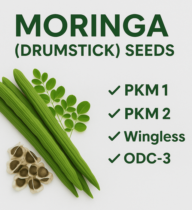Moringa (Drumstick) PKM-1, PKM-2, Wingless & ODC-3 Varieties (Farmers Stop)