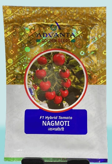 Nagmoti F1 Hybrid Red Round Cherry Tomato (Golden seeds/advanta) - Farmers Stop