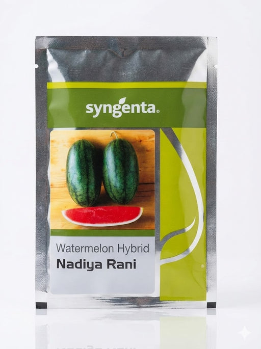 Nadiya Rani F1 Hybrid Watermelon